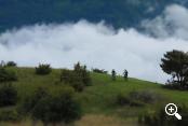 Tour in mountain-bike sul Monte Sole in Val Venosta 